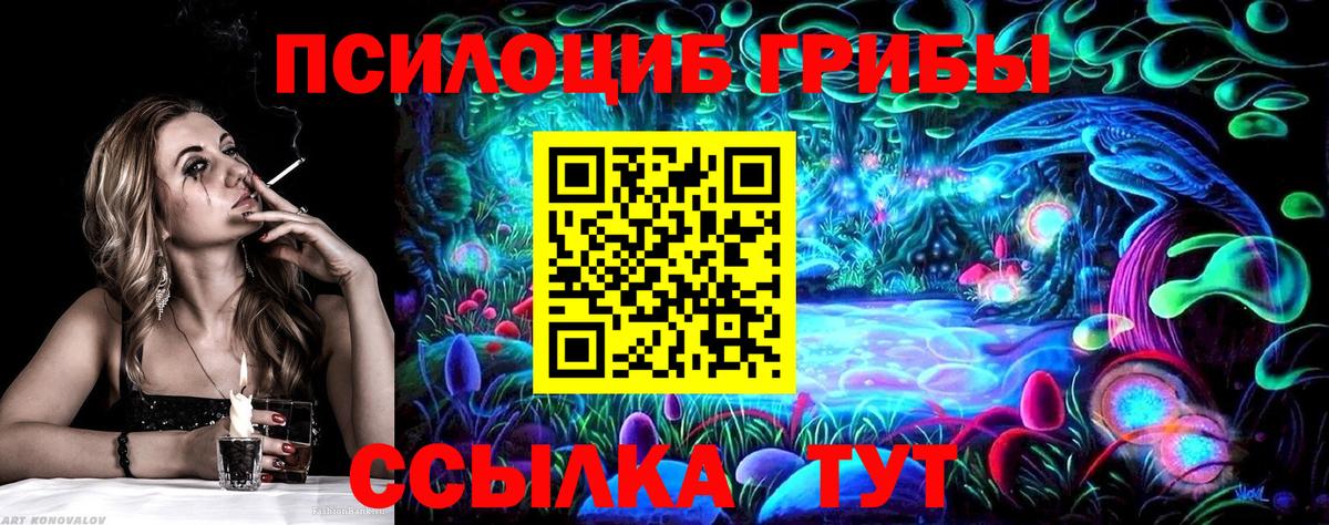 Псилоцибиновые грибы Psilocybine cubensis Верхний Уфалей